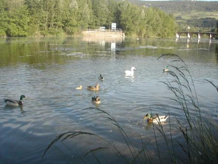 Le tarn