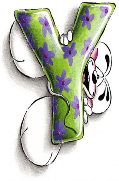 Y